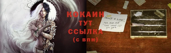крисы Баксан