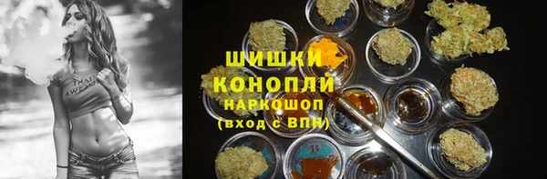 крисы Баксан