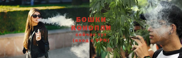 крисы Баксан