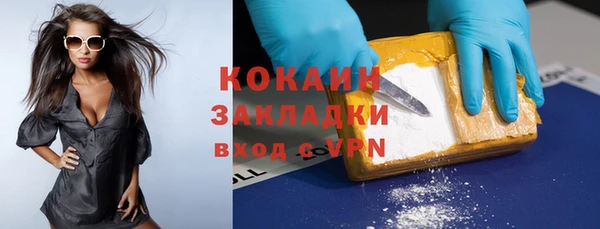 крисы Баксан