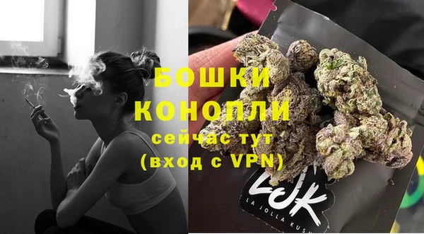 крисы Баксан