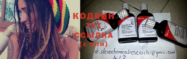 крисы Баксан